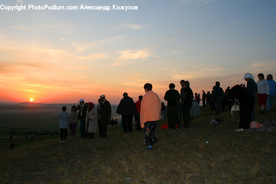 People, Person, Human, Hand, Holding Hands, Back, Leisure Activities