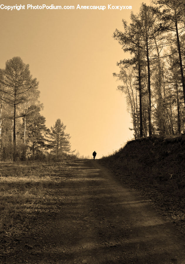 Dirt Road, Gravel, Road