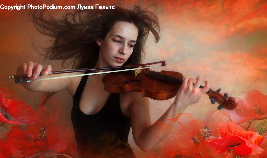 People, Person, Human, Cello, Fiddle, Musical Instrument, Violin