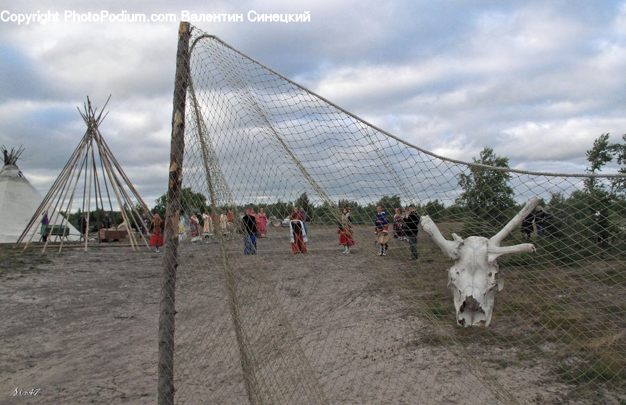 Construction, Ferris Wheel, Angus, Animal, Bull, Mammal, Cattle