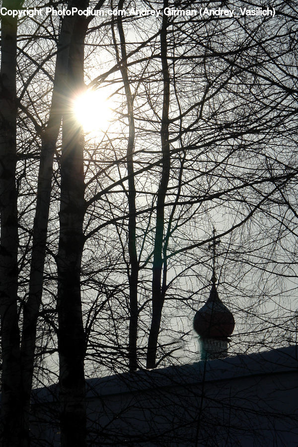 Flare, Light, Sunlight, Architecture, Spire, Steeple, Tower