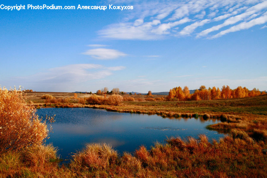 Landscape, Nature, Scenery, Outdoors, Lake, Water, Field