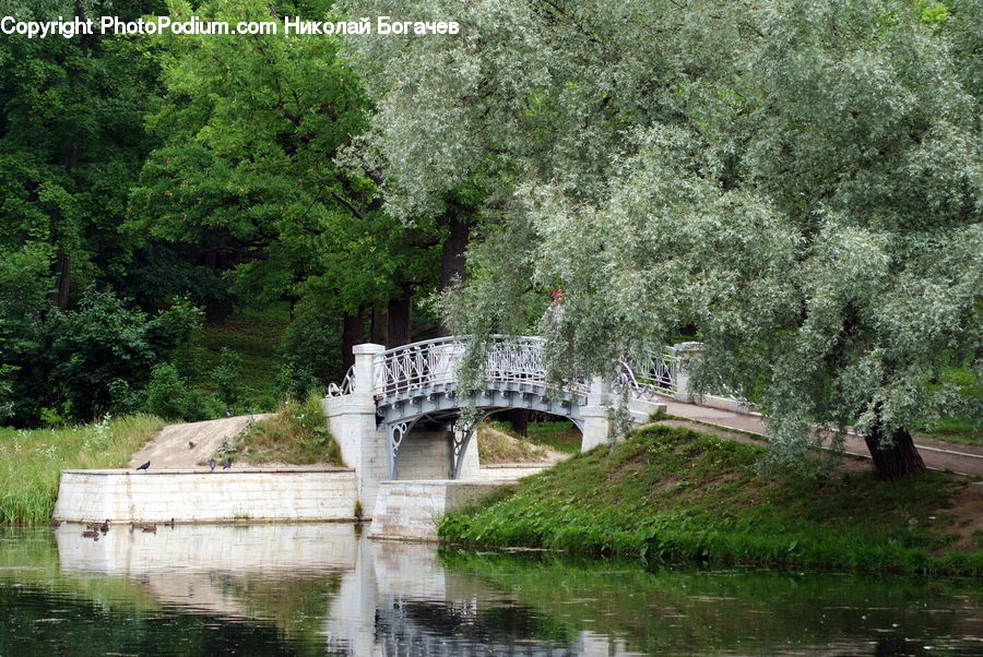 Bridge, Canal, Outdoors, River, Water, Pond, Conifer