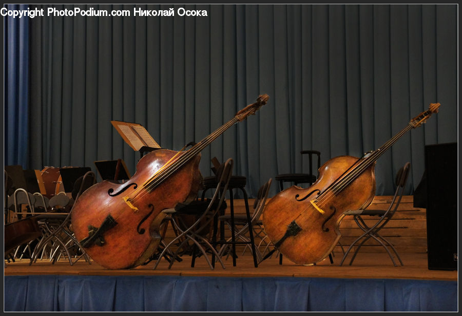 Cello, Musical Instrument, Lute, Mandolin, Chair, Furniture, Viola