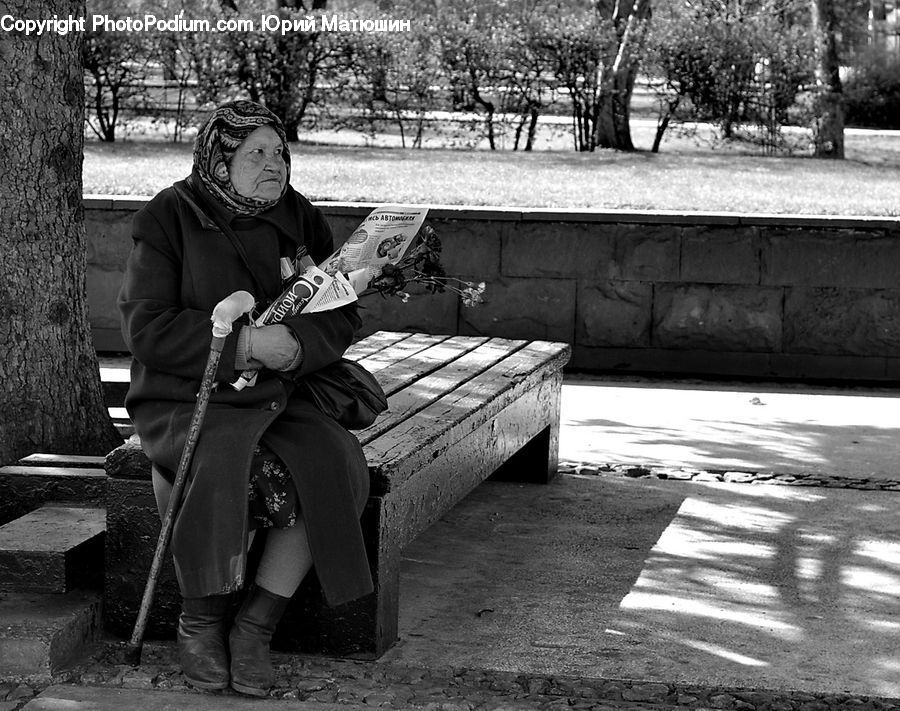 People, Person, Human, Bench, Guitar, Guitarist, Musical Instrument