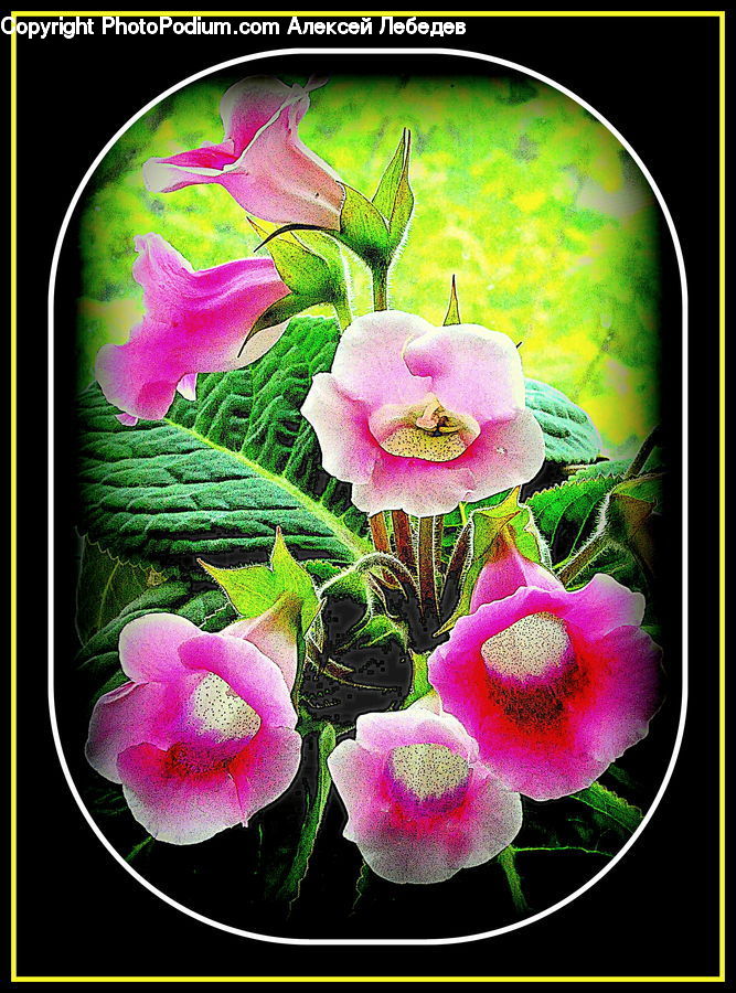 Collage, Poster, Blossom, Flora, Flower, Plant, Art