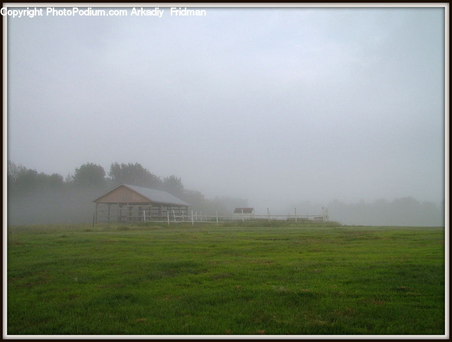 Field, Grass, Grassland, Land, Outdoors, Fog, Plant