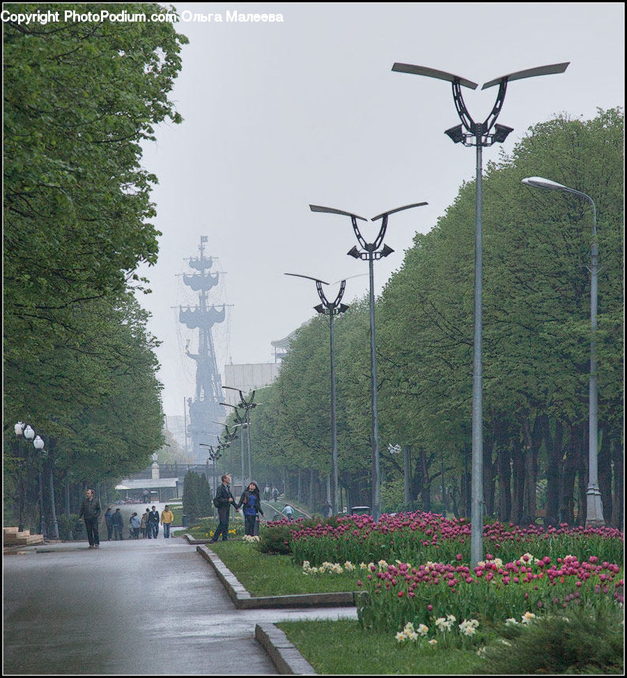 Lamp Post, Pole, Flora, Flower, Plant, Treasure Flower, Blossom