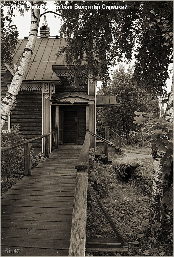 Banister, Birch, Handrail, Tree, Wood, Bench, Building