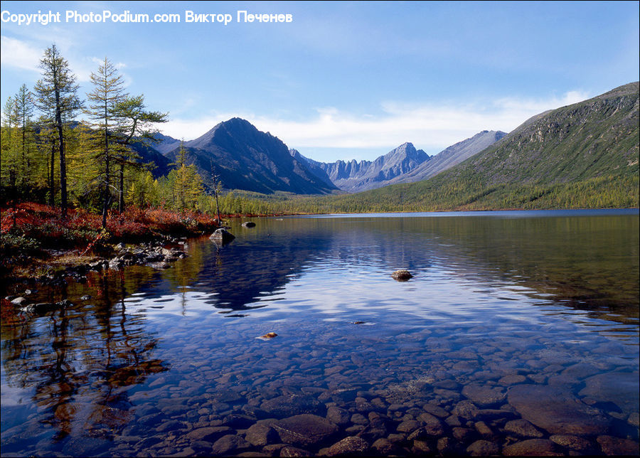 Lake, Outdoors, Water, Conifer, Fir, Pine, Spruce