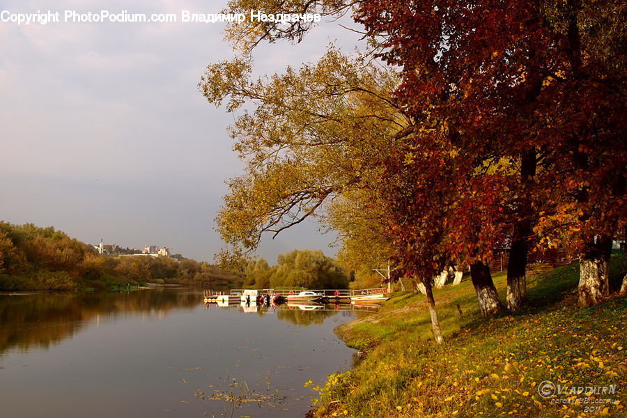 Outdoors, River, Water, Landscape, Nature, Scenery, Blossom