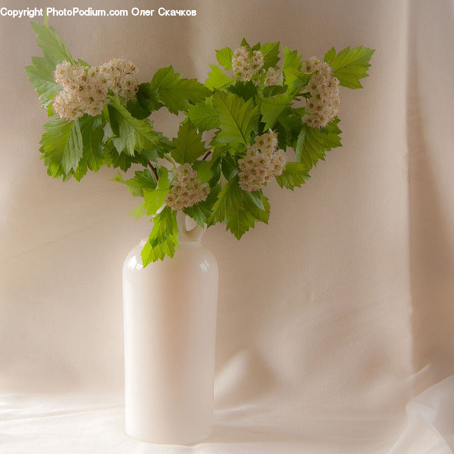 Blossom, Flower, Lilac, Plant, Flower Arrangement, Flower Bouquet, Ikebana