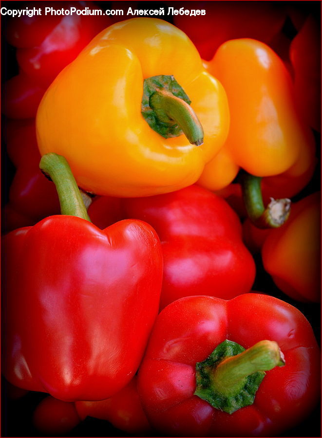 Bell Pepper, Pepper, Produce, Vegetable, Tomato, Squash, Fruit