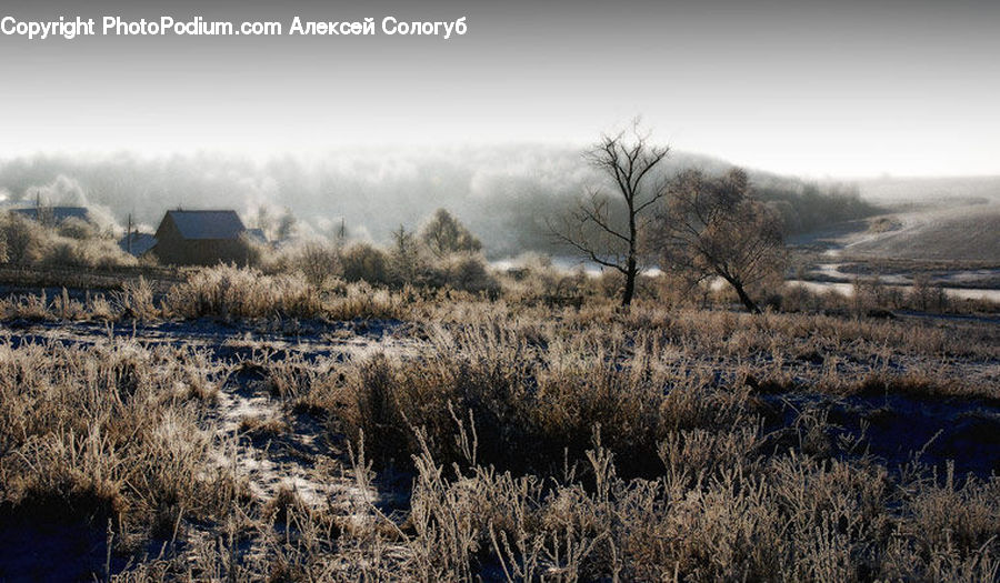 Frost, Ice, Outdoors, Snow, Field, Grass, Grassland