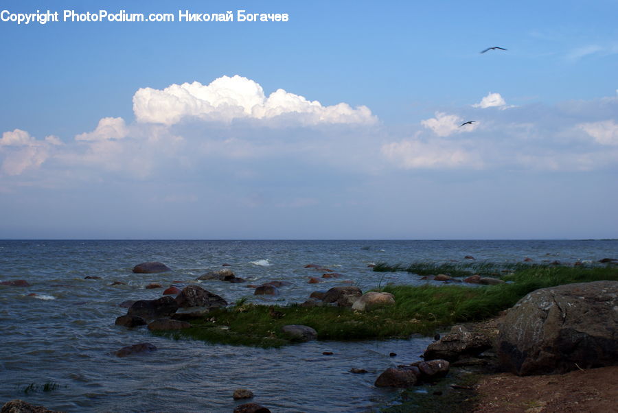 Rock, Beach, Coast, Outdoors, Sea, Water, Ocean