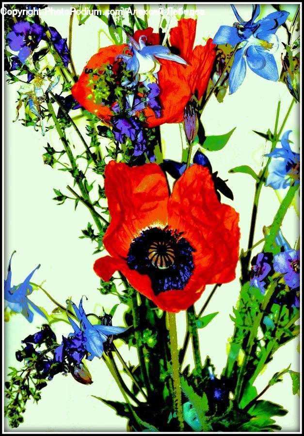 Collage, Poster, Plant, Potted Plant, Art, Flower, Flower Arrangement