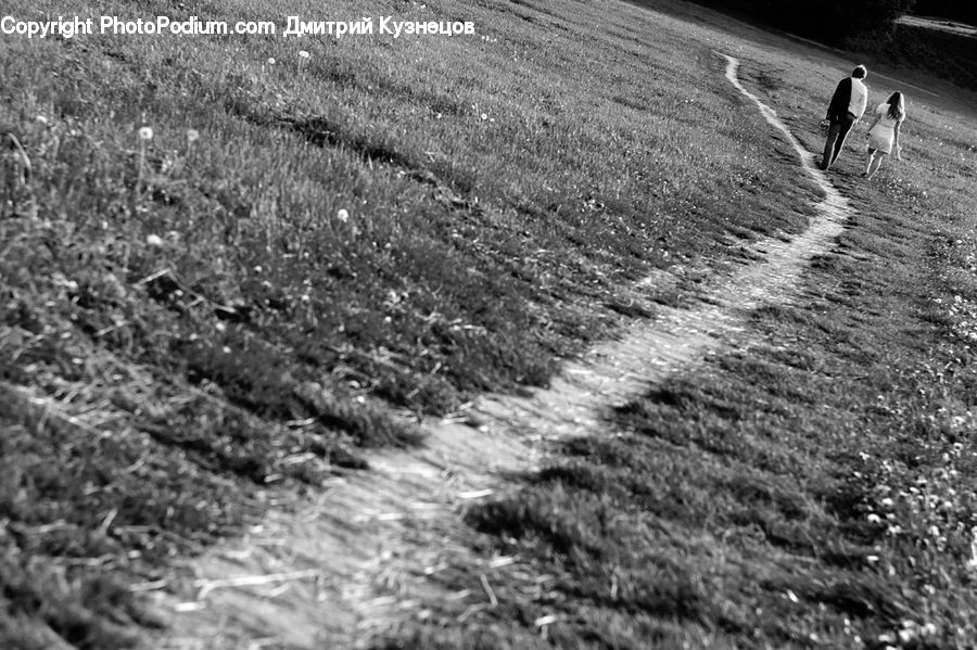 Field, Leisure Activities, Walking, Path, Trail, Countryside, Outdoors