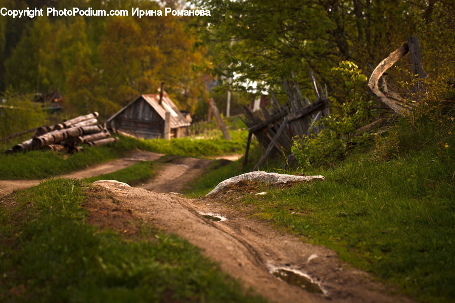 Building, Cottage, Housing, Dirt Road, Gravel, Road, Forest