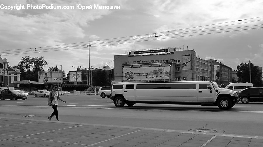 Plant, Potted Plant, Car, Van, Limo, Vehicle, Intersection