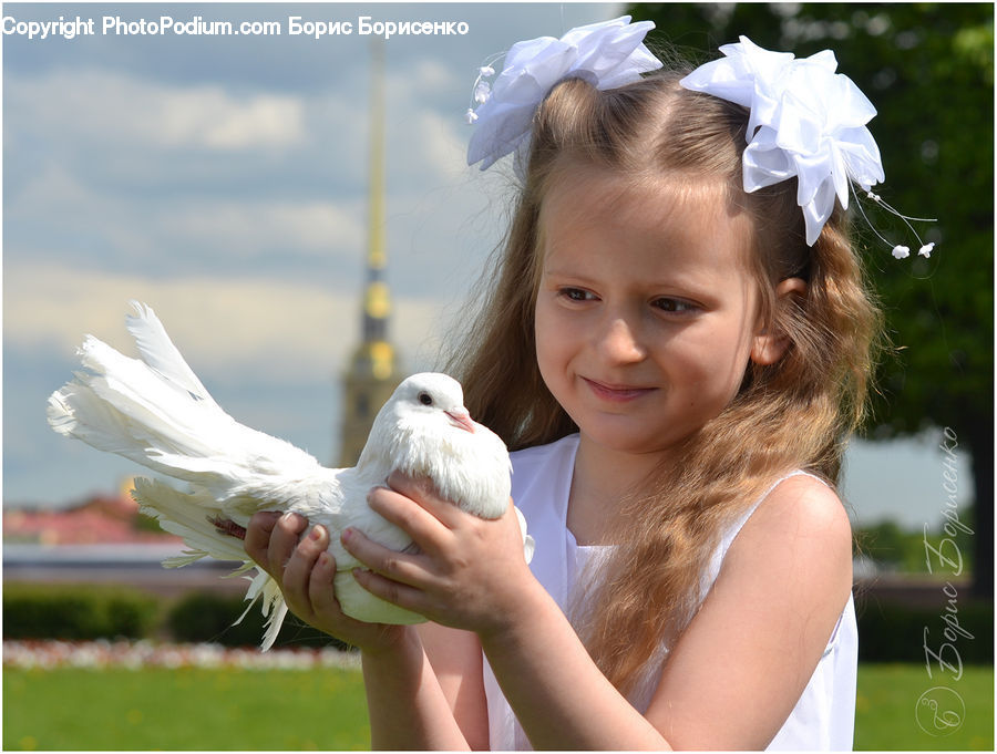 People, Person, Human, Bird, Dove, Pigeon, Leisure Activities