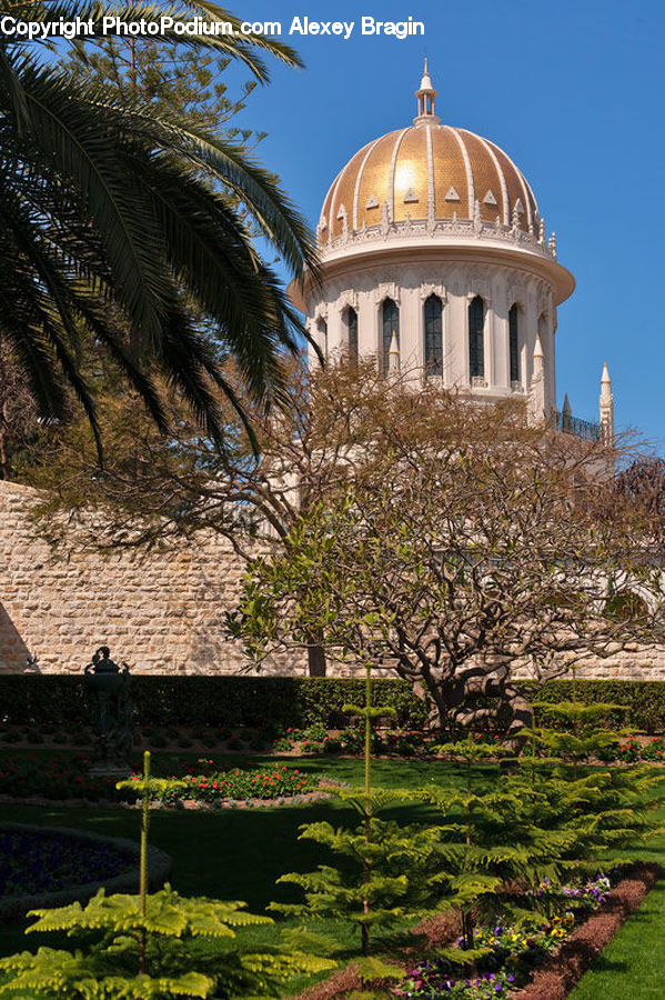 Architecture, Dome, Plant, Potted Plant, Cathedral, Church, Worship