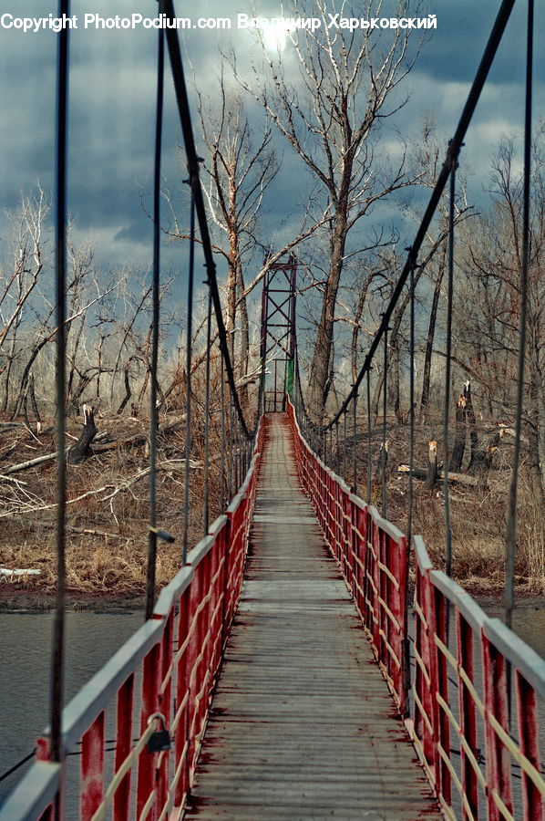 Railing, Path, Sidewalk, Walkway, Boardwalk, Deck, Bridge