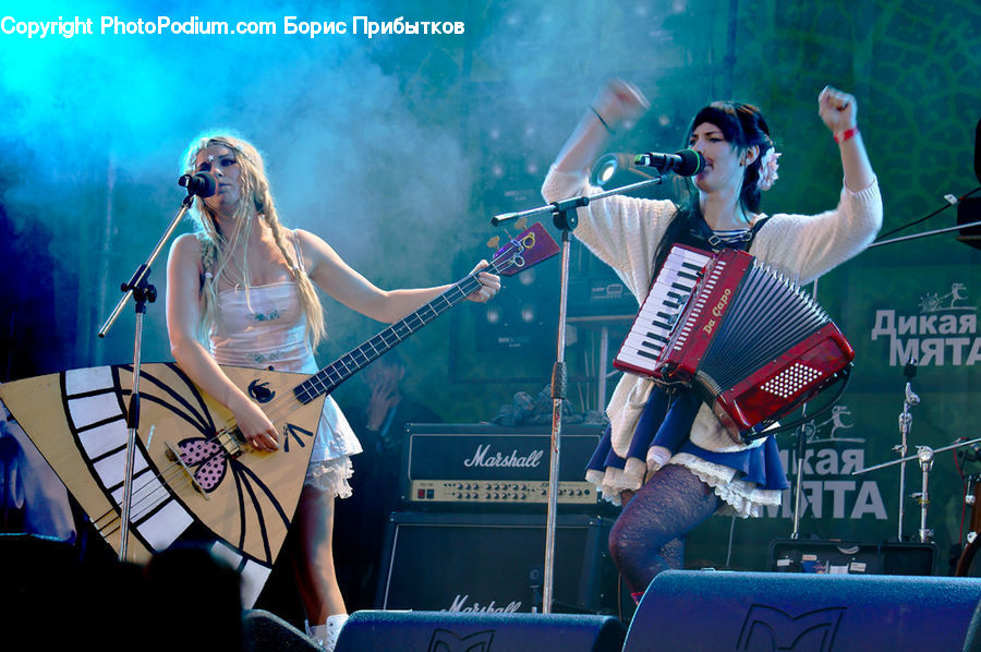 People, Person, Human, Accordion, Musical Instrument, Concert, Rock Concert