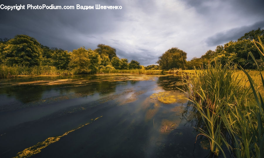 Lake, Outdoors, Water, Field, Grass, Grassland, Plant