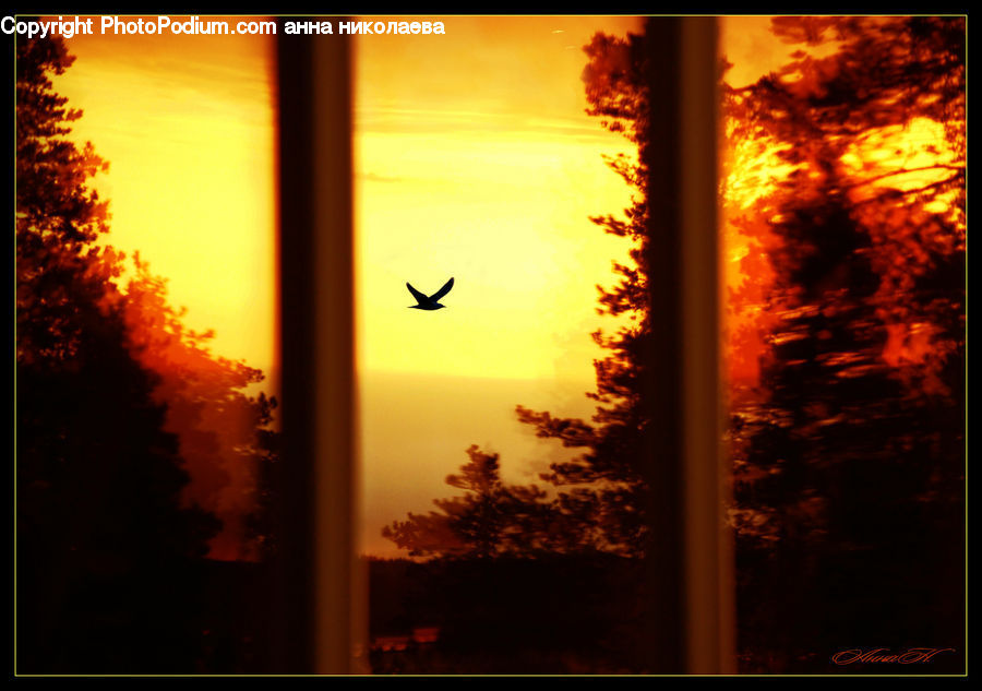 Dawn, Dusk, Red Sky, Sky, Sunrise, Sunset, Outdoors