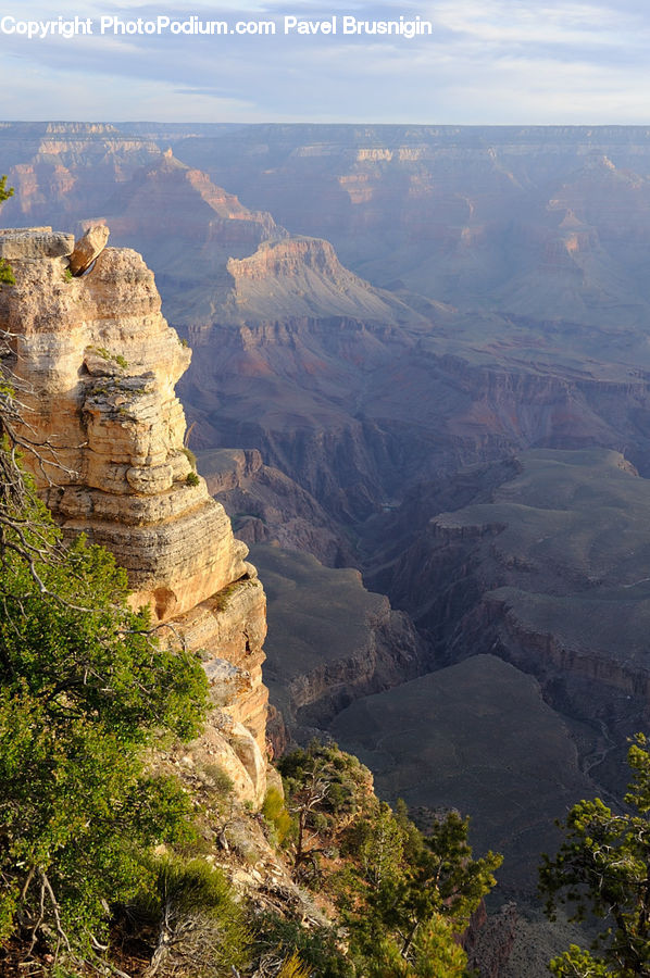 Canyon, Outdoors, Valley, Bush, Plant, Vegetation, Forest