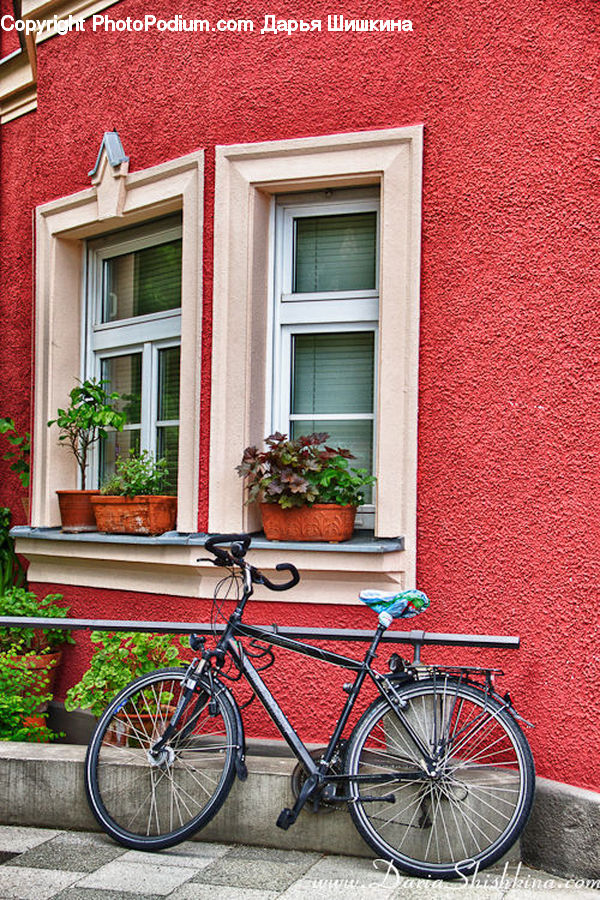 Plant, Potted Plant, Window, Curtain, Window Shade, Bicycle, Bike