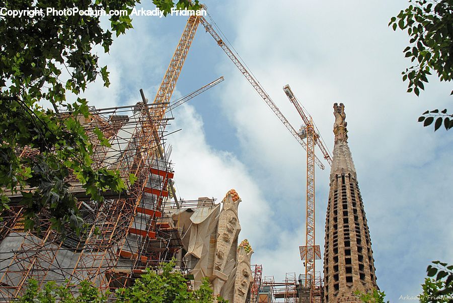 Plant, Potted Plant, Constriction Crane, Architecture, Tower, Construction, Vine