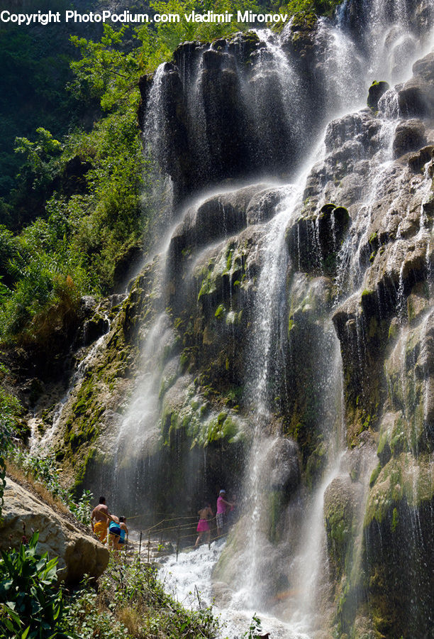 Creek, Outdoors, River, Water, Waterfall, Forest, Jungle