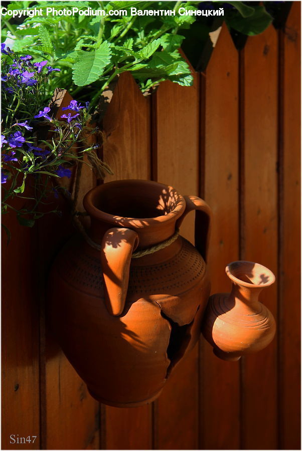 Plant, Potted Plant, Pot, Pottery, Garden, Gardening, Herbal