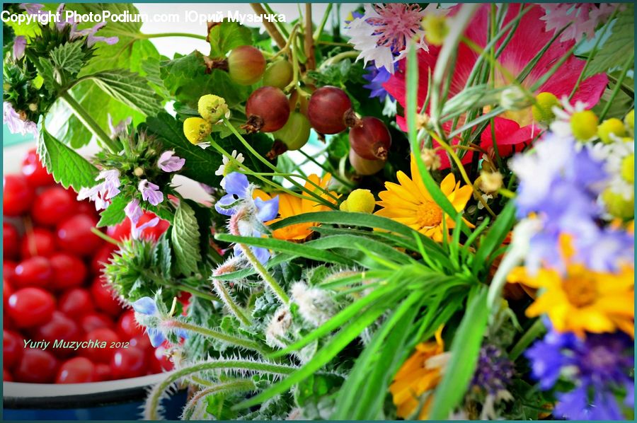 Fruit, Market, Produce, Blossom, Flora, Flower, Plant