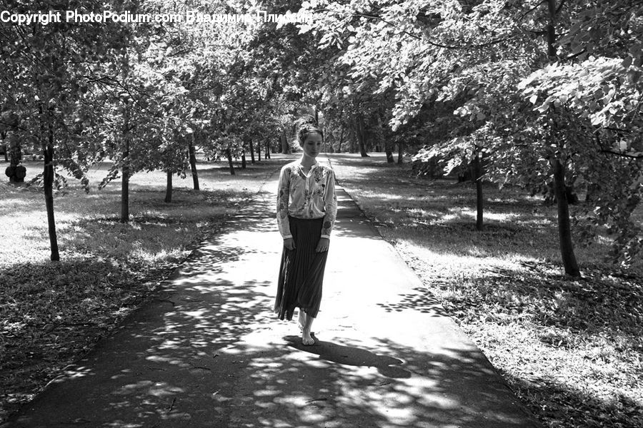 Human, People, Person, Corset, Park, Plant, Tree