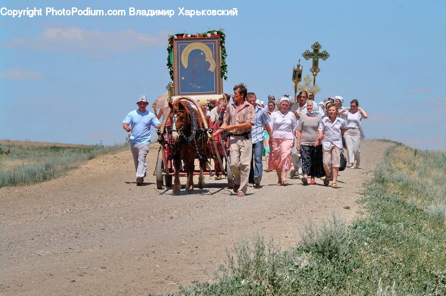 Animal, Horse, Mammal, People, Person, Human, Dirt Road