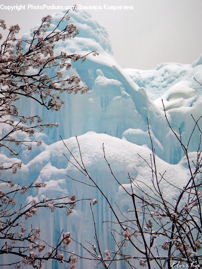 Arctic, Glacier, Ice, Mountain, Outdoors, Snow, Blossom