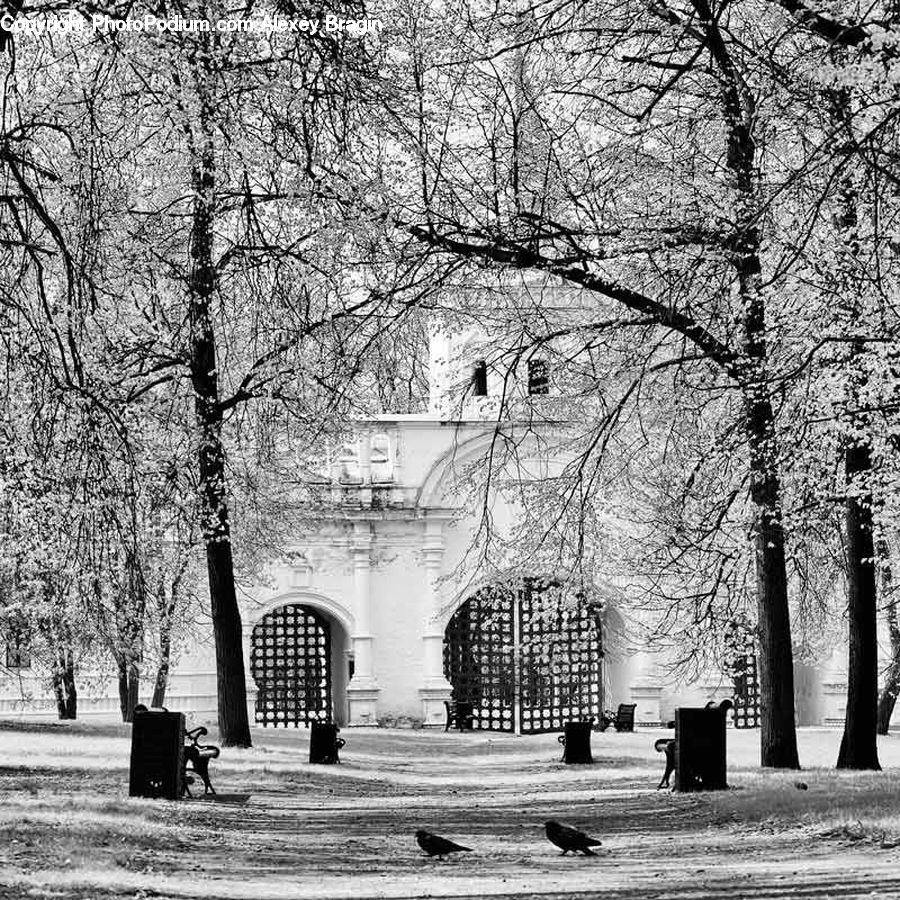 Plant, Tree, Arch, Park, Architecture, Church, Worship