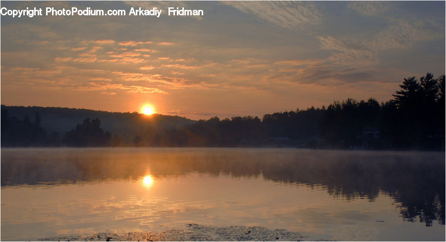 Dawn, Dusk, Sky, Sunrise, Sunset, Conifer, Fir