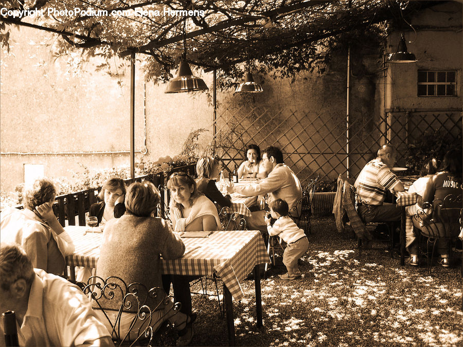 People, Person, Human, Cafe, Cafeteria, Food Court, Dining Room