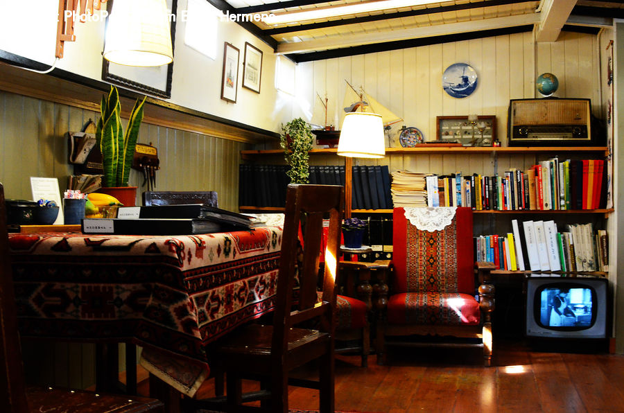 Couch, Furniture, Housing, Indoors, Interior Design, Loft, Plant