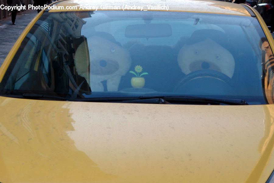 Cab, Car, Taxi, Vehicle, Car Mirror, Mirror, Sports Car
