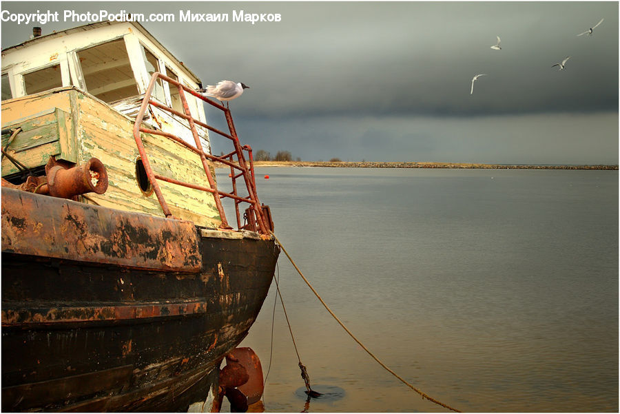 Boat, Dinghy, Ferry, Freighter, Ship, Tanker, Vessel