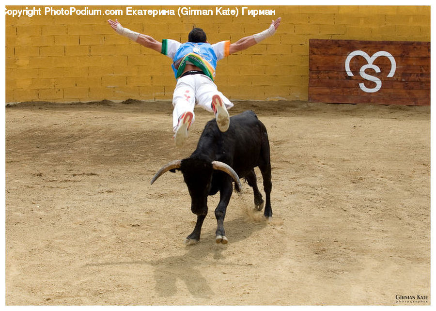 People, Person, Human, Bull, Bullfighter, Bullfighting, Child