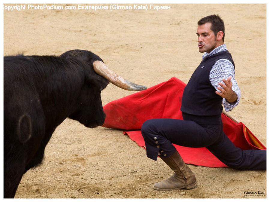 People, Person, Human, Bull, Bullfighter, Bullfighting, Exercise