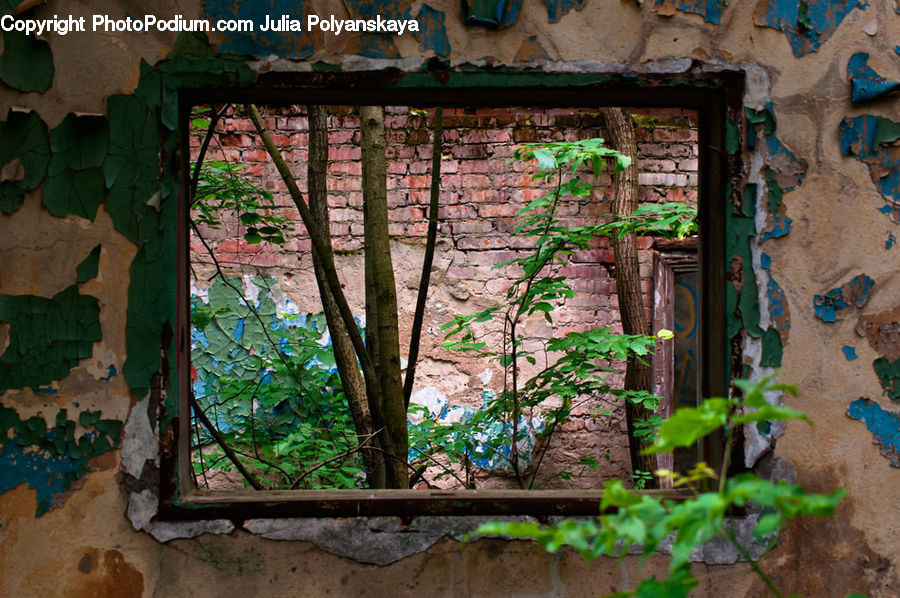 Brick, Plant, Potted Plant, Vine, Window, Balcony, Ivy
