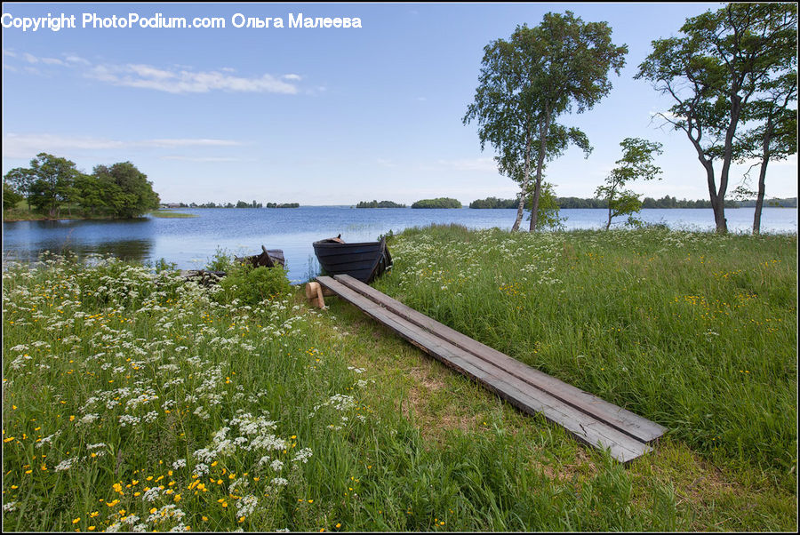 Boat, Rowboat, Vessel, Watercraft, Boardwalk, Deck, Path