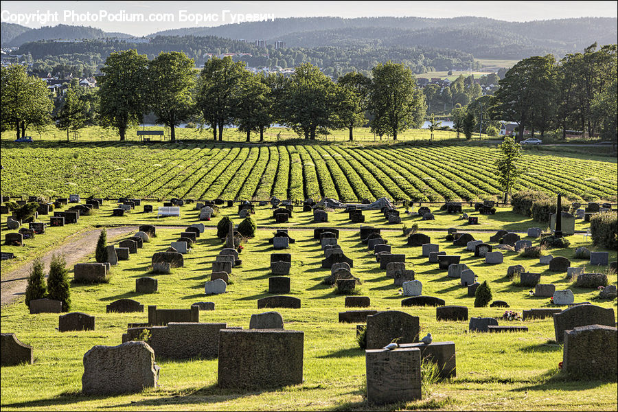 Tomb, Countryside, Outdoors, Field, Labyrinth, Maze, Fence