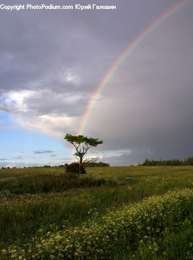 Outdoors, Rainbow, Sky, Field, Grass, Grassland, Land